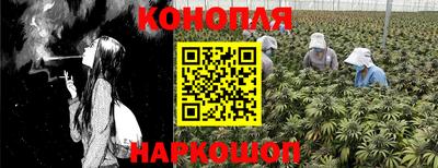 spice Кинель