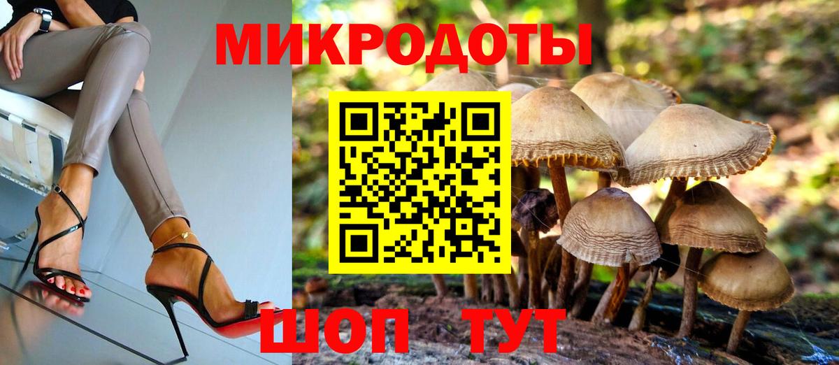Псилоцибиновые грибы прущие грибы  Вход с VPN  Кудрово 