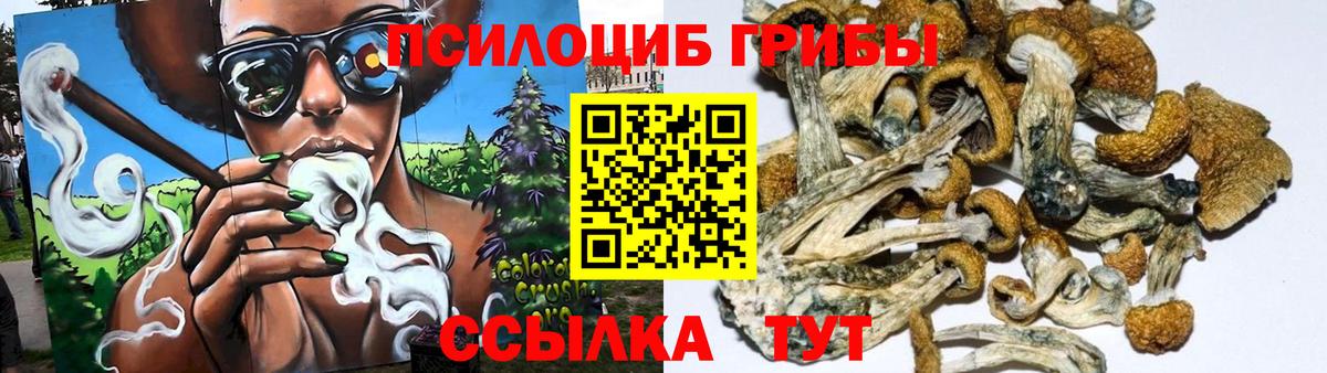 Галлюциногенные грибы прущие грибы Кудрово